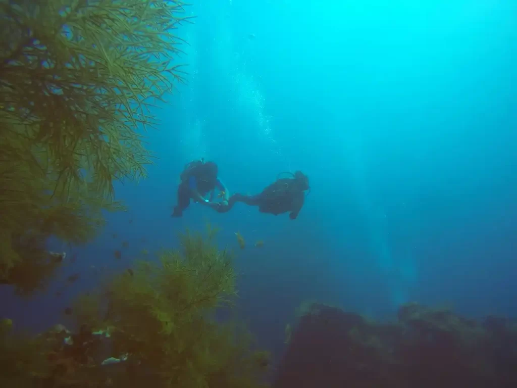 Andaman Island