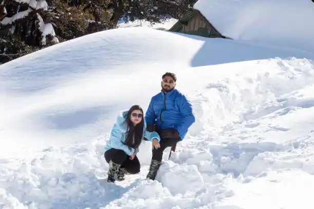 Auli