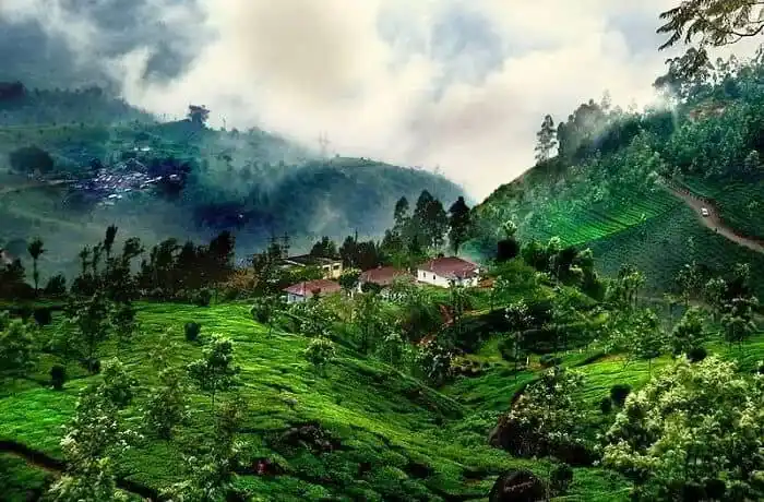 Coorg, India