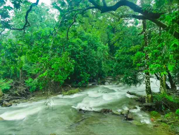 Coorg